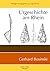 Urgeschichte am Rhein Hardcover German edition