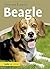 Beagle by Annette Schmitt