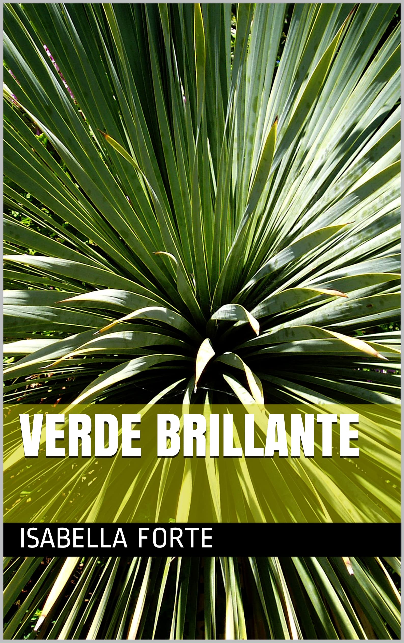 Verde Brillante (Italian Edition)