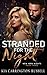 Stranded for the Night (New York Nights, #3)