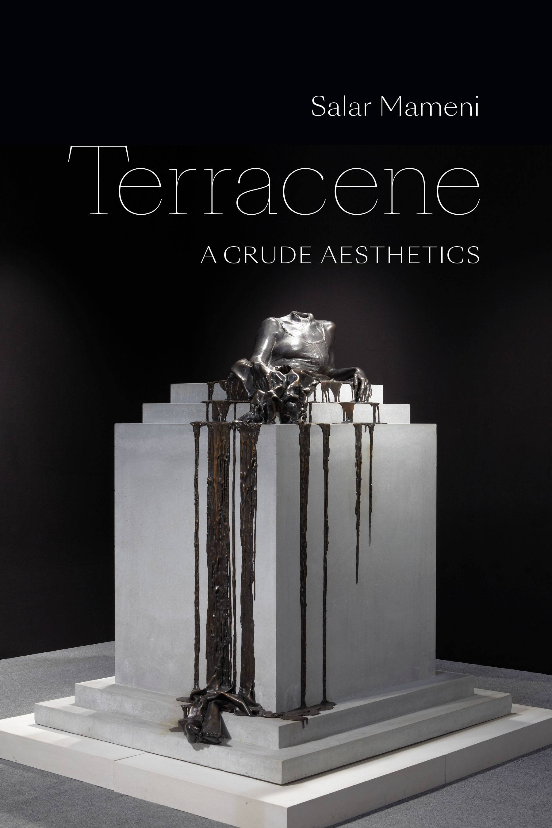 Terracene: A Crude Aesthetics (ANIMA: Critical Race Studies Otherwise)