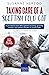 Taking care of a Scottish Fold Cat: All you need to know about general cat caring, grooming, nutrition, and common disorders of Scottish Folds