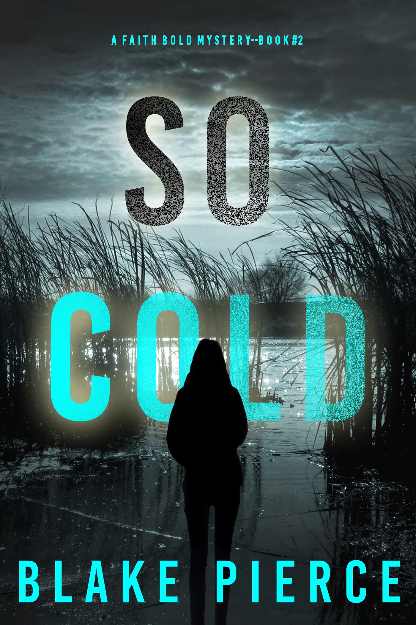 So Cold (Faith Bold #2)