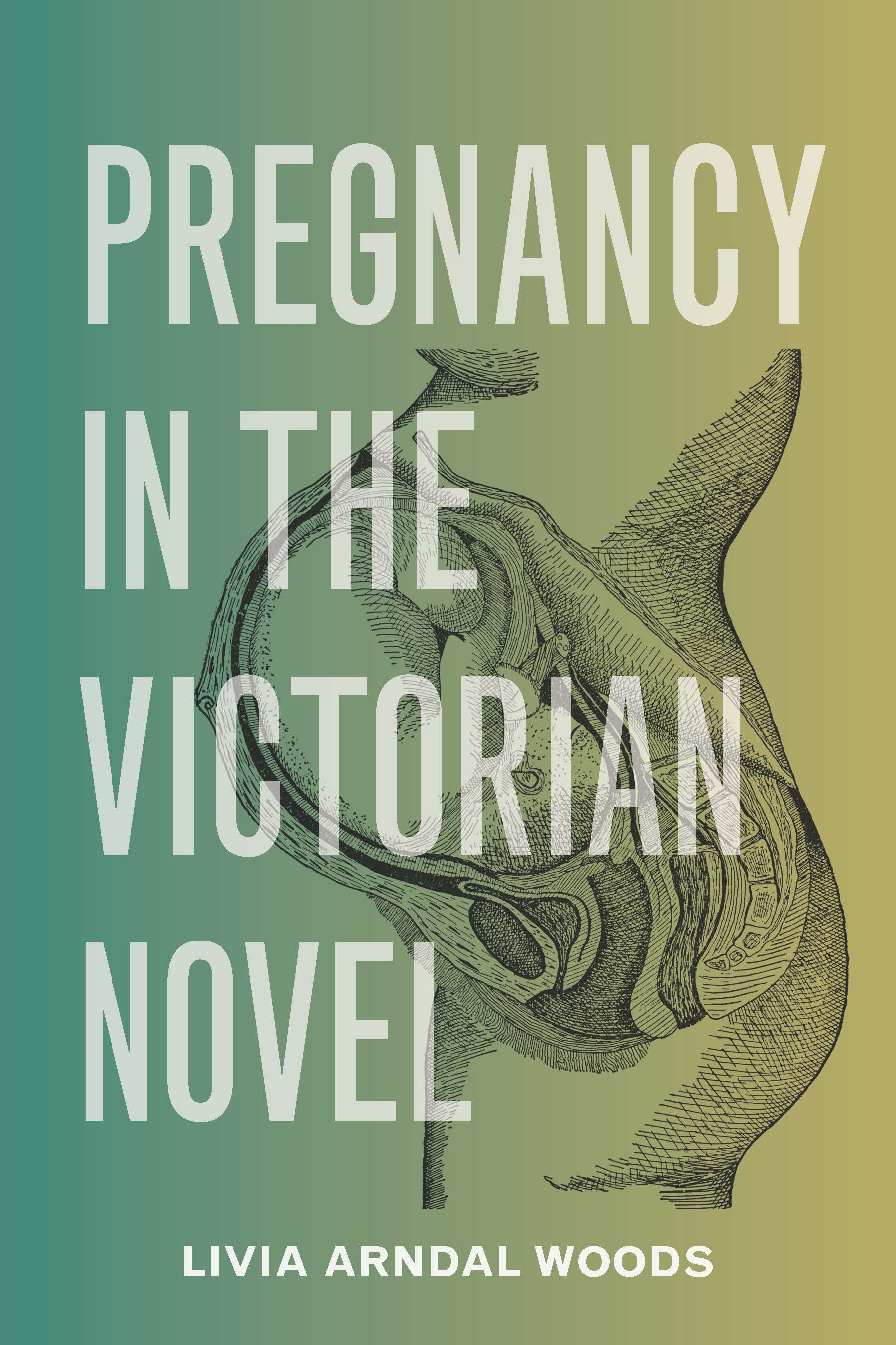 Pregnancy in the Victorian Novel (Hardcover)