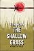 The Shallow Grass