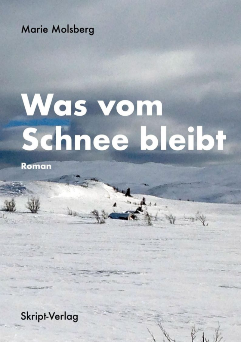 Was vom Schnee bleibt (Kindle Edition)