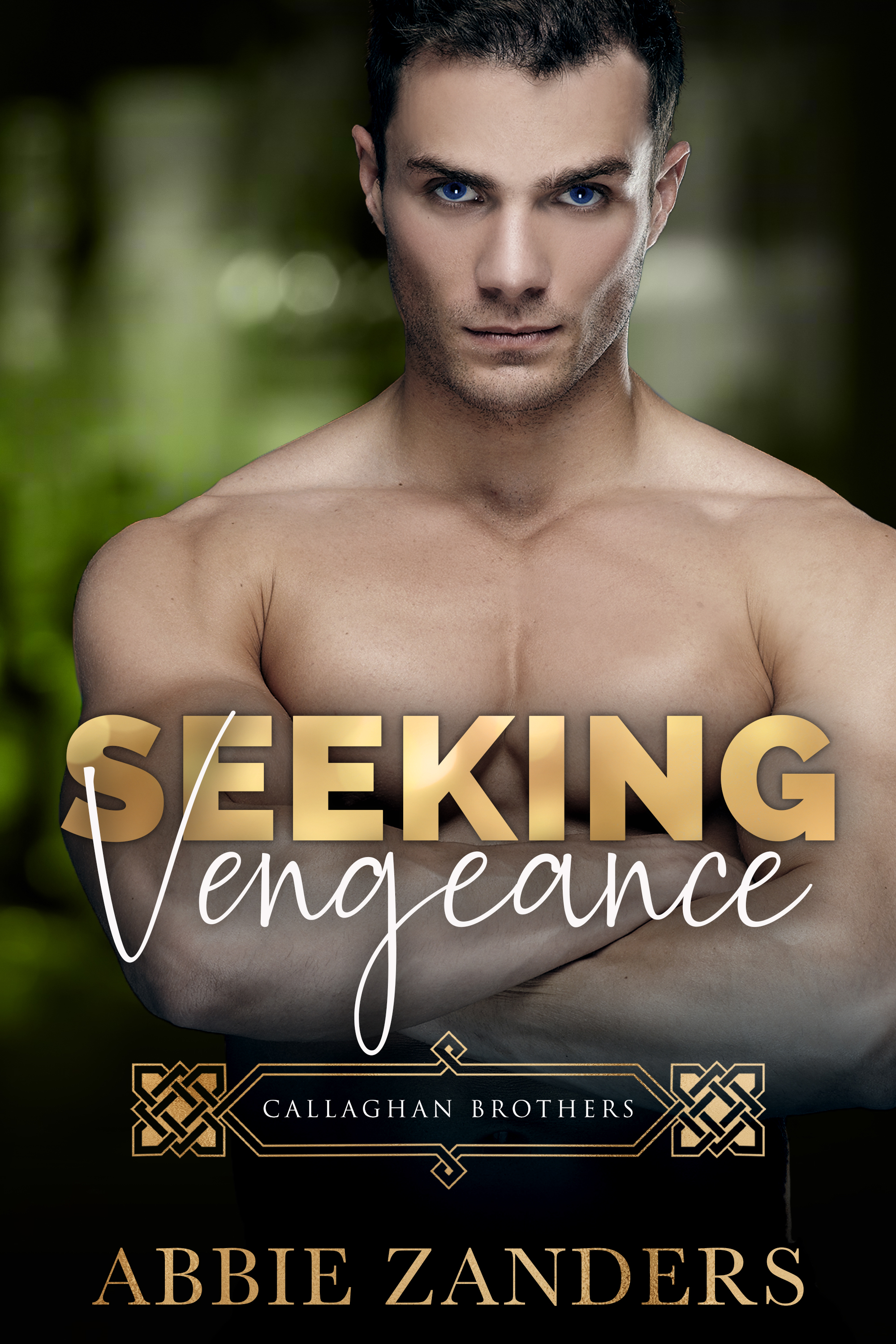Seeking Vengeance (Callaghan Brothers, #4)