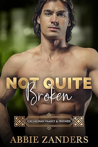 Not Quite Broken (Callaghan Brothers, #11)