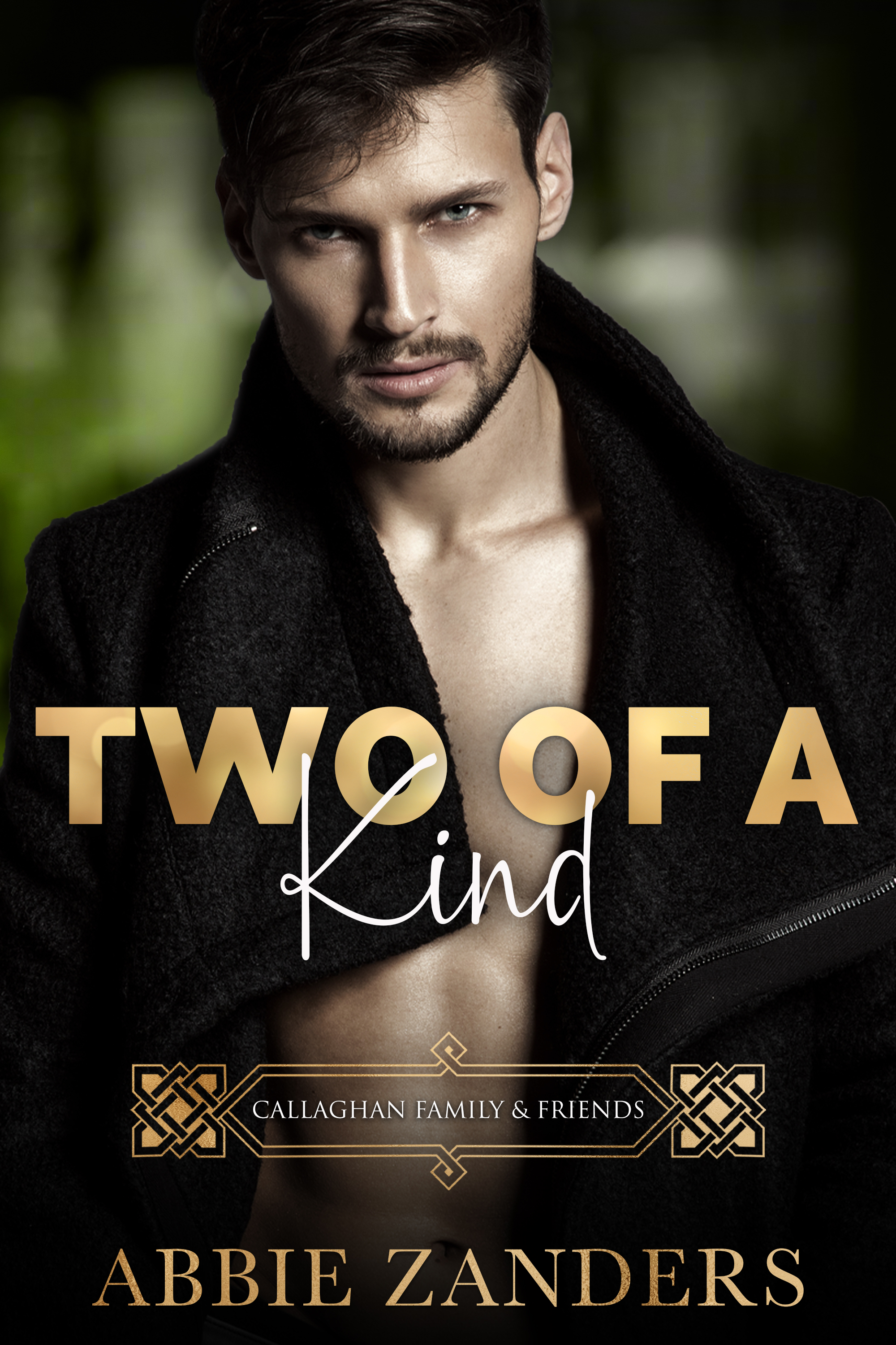 Two of a Kind (Callaghan Brothers #10)