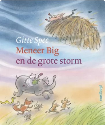 Meneer Big en de grote storm (Hardcover)