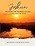 Joshua: Pursuing the Promis...