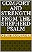 Comfort and strength from the Shepherd psalm by Christian Fichthorne Reisner