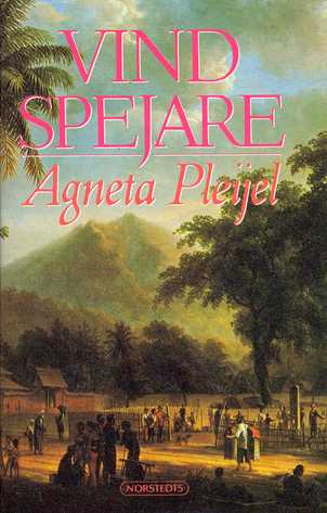 Vindspejare: boken om Abel målaren