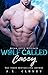 Wolf Called Casey (Briar Falls Wolfpack #1)