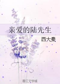 亲爱的陆先生 [Dear Mr. Lu] (Web Novel)