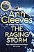 The Raging Storm (Two Rivers #3)