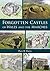 Forgotten Castles of Wales ...