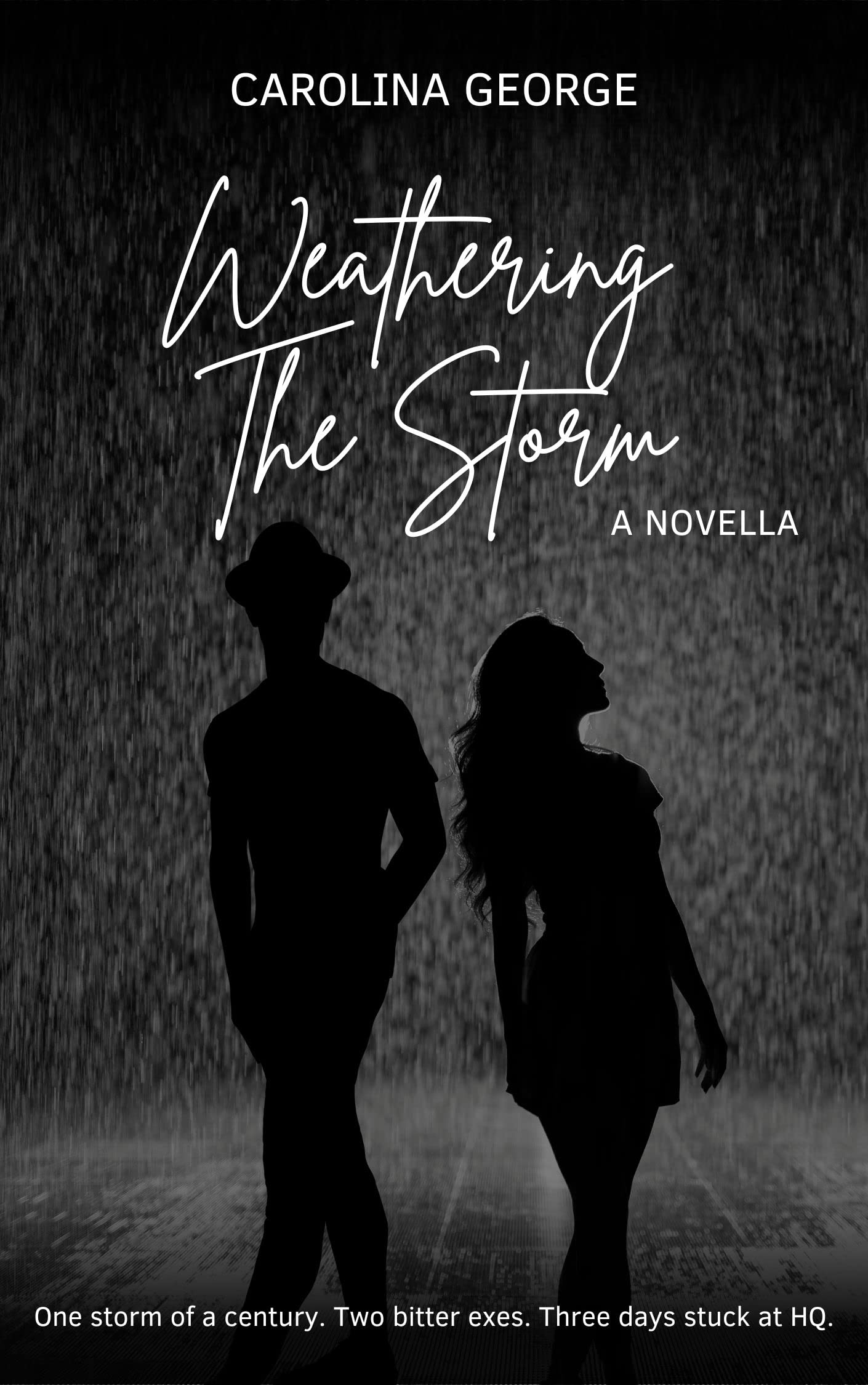 Weathering The Storm (Kindle Edition)