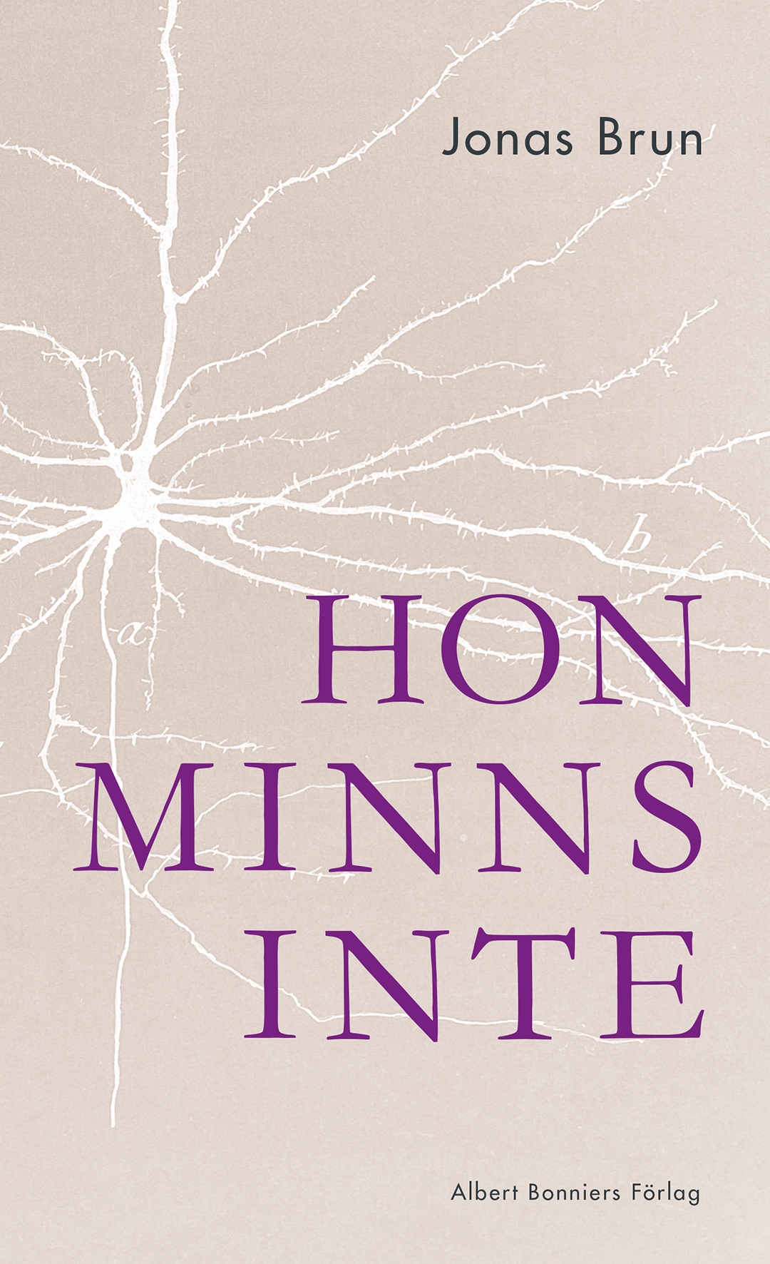 Hon minns inte (Hardcover)