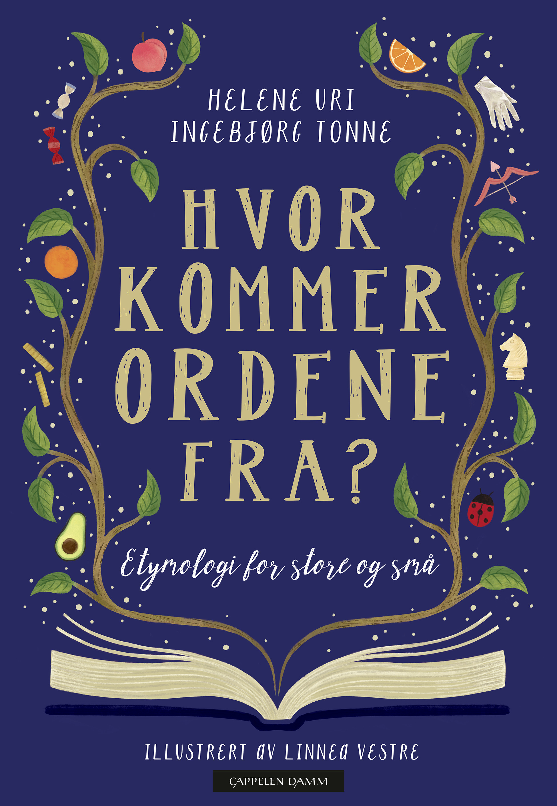 Hvor kommer ordene fra? (Hardcover)