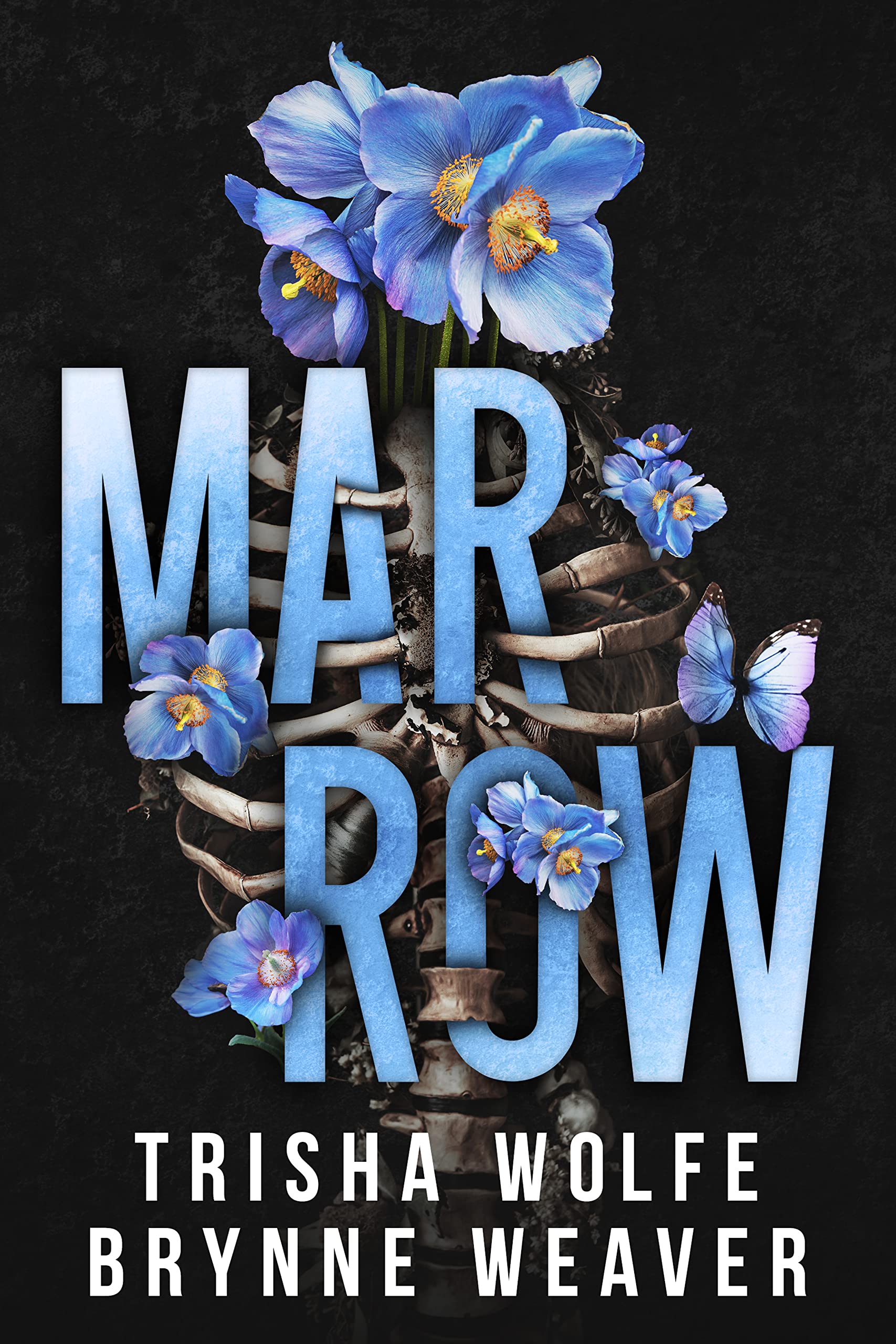 Marrow (Kindle Edition)
