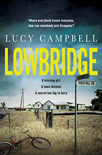 Lowbridge (Kindle Edition)