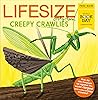 Lifesize: Creepy Crawlies (World Book Day 2023)