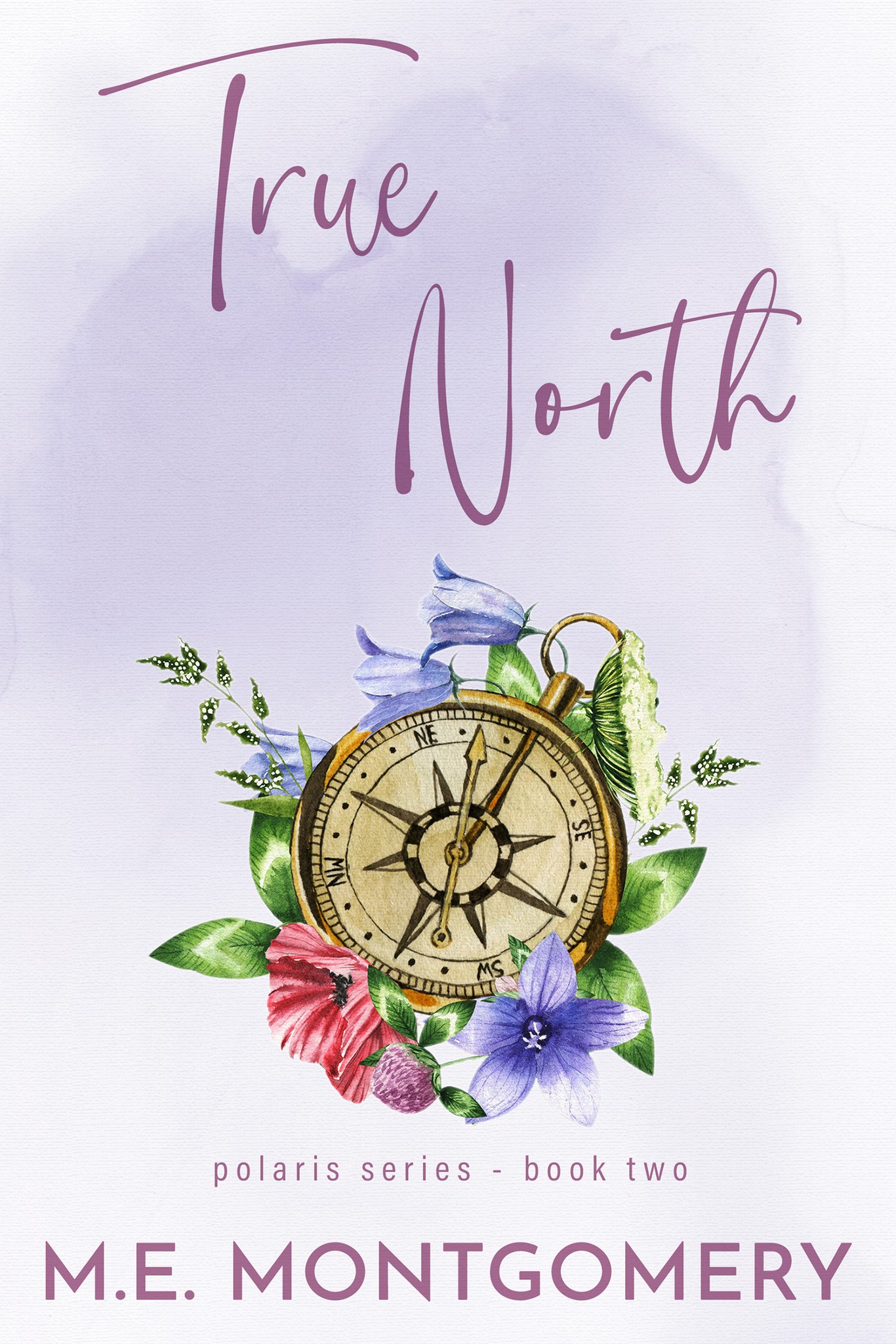 True North (Polaris #2)