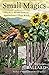 Small Magics: Practical Secrets from an Appalachian Village Witch