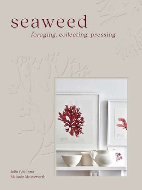 Seaweed: The sustainable 2023 guide to our oceans with crafts, foraging, collecting and pressing