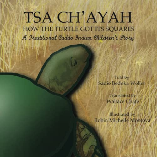 How the Turtle Got Its Squares (Paperback)