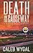 Death on the Causeway: A Myrtle Beach Mystery