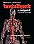 Techniques in Noninvasive Vascular Diagnosis by Robert J. Daigle