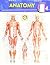 Anatomy Easel Book: a Quick...