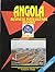 Angola Business Intelligenc...