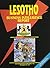 Lesotho Business Intelligen...