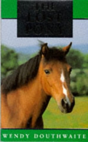The Lost Pony (Paperback)