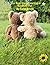 Luv Bear Stars! Learning is SunShiny Fun by Cathy Brooks