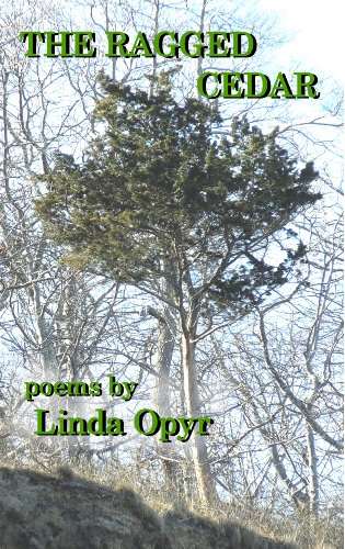 The Ragged Cedar (Paperback)