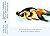 Japanese Goldfish: Their Va...