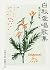 Bozhou fondness for singing...
