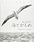 海とかもめ―ふるさと仙崎のうた
