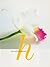 hana (ART BOX / GALLERY ser...