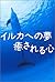 イルカへの夢　癒される心