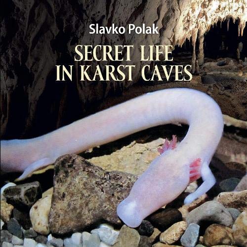 Secret Life in Karst Caves (Hardcover)