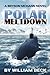 Polar Meltdown (The Bryson ...