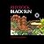 Red Rock Black Sun: An Amer...