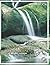 MSG l: Student Workbook (Mi...