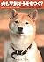 How Dogs Think: Understanding the Canine Mind (Japanese Edition)