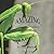 Amazing Creepy, Crawly, Cra...